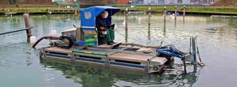 Eyesaugbagger im Wasser