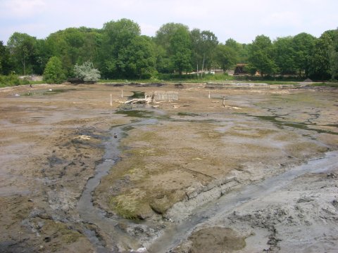 Gewässerentschlammung Glockensee