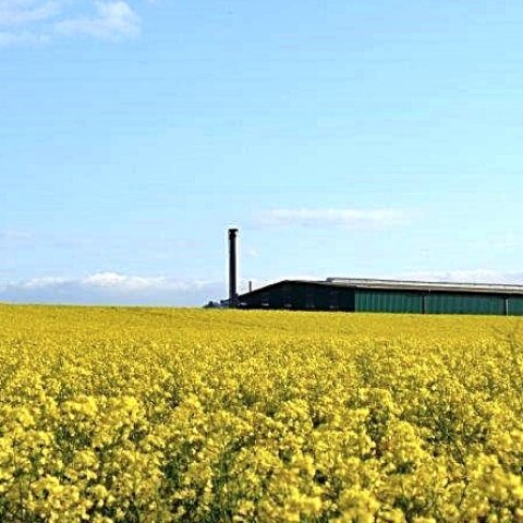 Eyecatcher Biogas